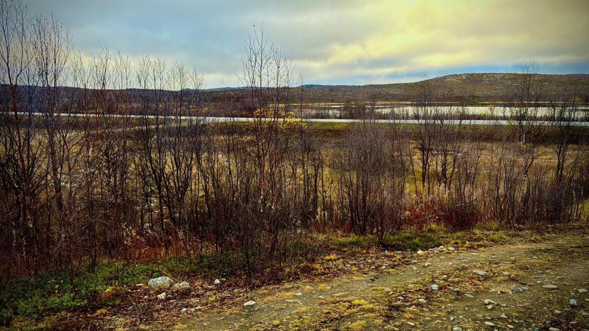 Cottage Lavkavann Finnmarksvidda Skoganvarre Dış mekan fotoğraf